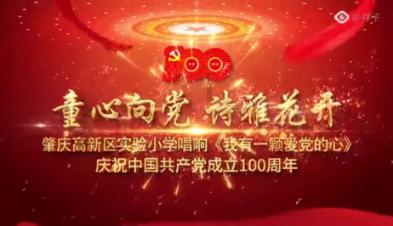 数码宝贝8