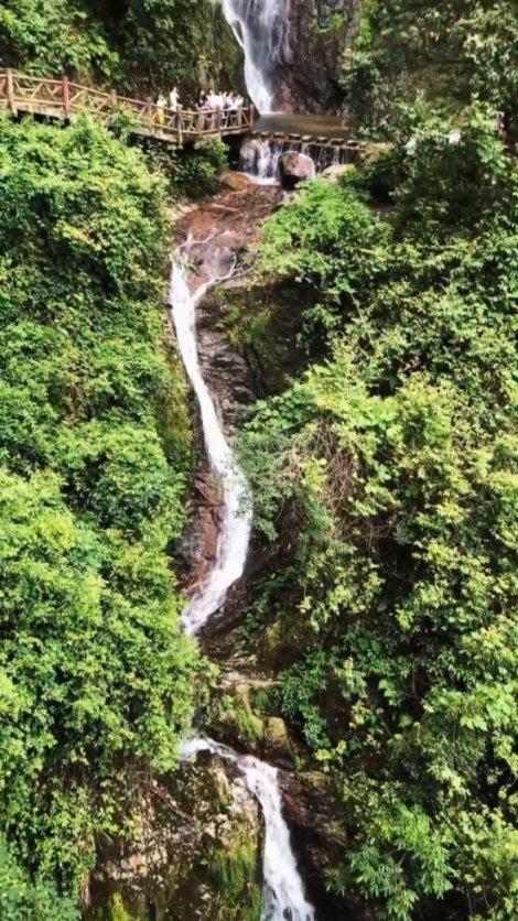 虎胆熊威2中文无敌版