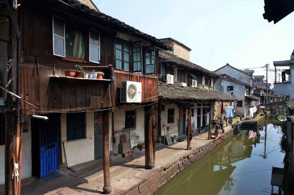 平安产险山东分公司获颁成为济南市宠物协会副会长单位