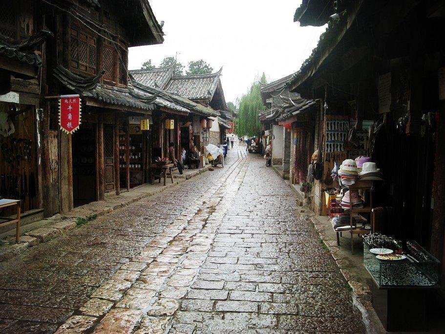 勿忘我